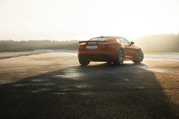 Wie kann Sport die körperliche Fitness verbessern?