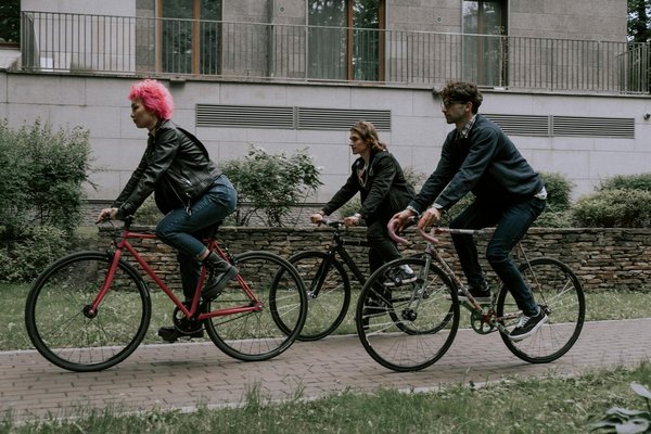 Warum lieben Menschen so sehr ihre Haustiere?